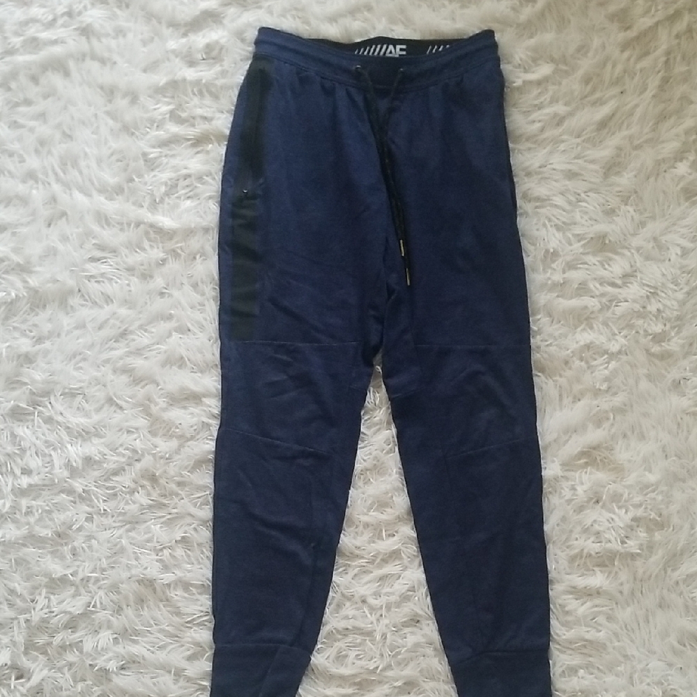 American Eagle Outfitters Blue Jogger Sweatpants
